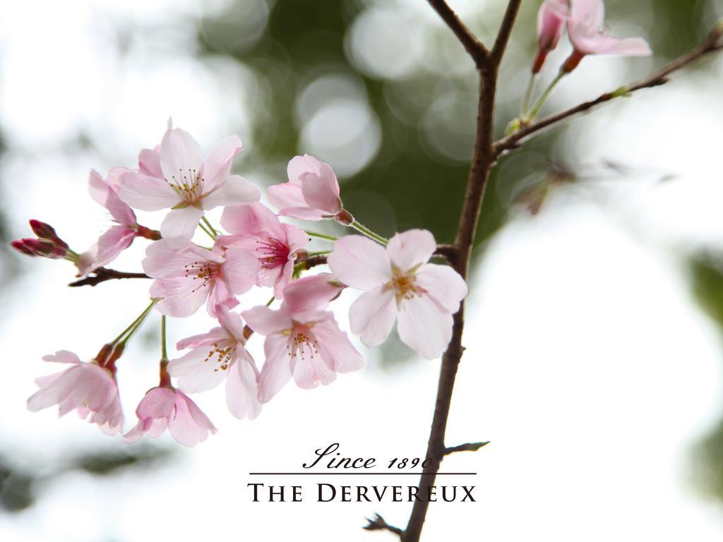 The Devereux Boutique Hotel Оукланд Екстериор снимка